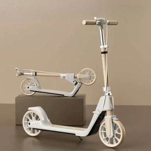 성인용 두발 킥보드 스쿠터 씽씽카 묘기용 퀵보드 페달 접이식