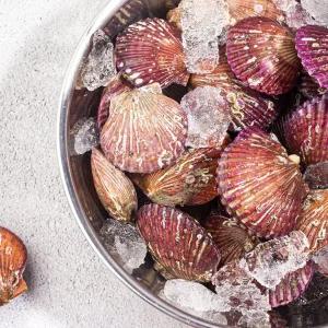 [하라네]통영 홍가리비 세척 손질 조개구이 3kg