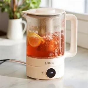 열탕기 전기 차탕기 물 끓이는 홍삼 달임기 가정용 강화 유리 약탕기 1.7L