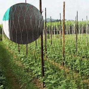 그물망 울타리 식물 지지대 넝쿨식물 묶음망 정원용