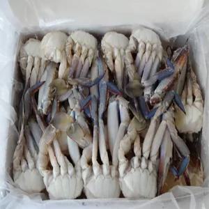 절단꽃게3L 숫게 손질냉동 게장 잘린꽃게