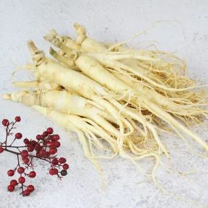 [롯데백화점]친환경팔도 금산 황금농장 세척인삼(주스용) 500g