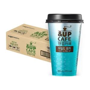 후디스 앤업카페 마일드모카 300ml*10입