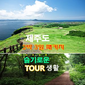 제주도버스투어 2박3일간 투어 여행 우도 잠수함 친목 가족 관광