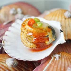 [당일조업] 더싱싱 살 꽉찬 홍가리비 3kg