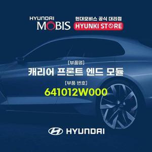 [현대모비스]캐리어 프론트 엔드 모듈 (641012W000)