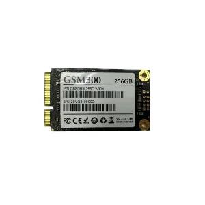 젬스톤 GSTON GSM300 mSATA (256GB)