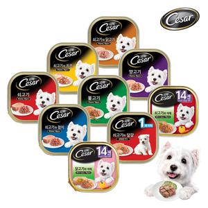 시저 강아지캔 12종류 100g 24캔 모음전 / 불고기 쇠고기 닭고기 양고기