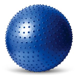 DD 스타 마사지 짐볼 ( 요가 헬스 필라테스 스트레칭 재활훈련 자세 교정 공 볼 운동