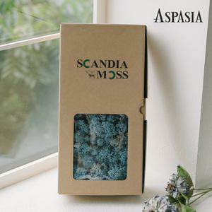 스칸디아모스 500g 공기정화식물 플렌테리어 천연이끼