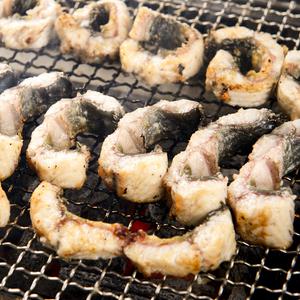 통영 자연산 바다장어 붕장어 1kg (1-3미)