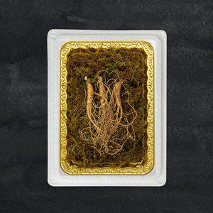 [명가일품] 정품인증 프리미엄 산양삼 장뇌삼 7-9년근/3뿌리