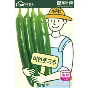 아시아종묘 씨앗 고추 미인풋고추 100립