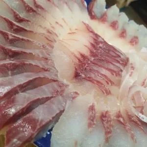 국내산 숭어 밀치회 필렛 450g