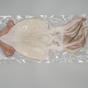 국산 손질 물오징어 300g 냉동