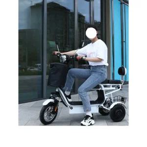 세발 스쿠터 가정용 미니 삼륜 픽업 유아 동반 바이크 스쿠터(36V/10A리튬배터리/35-40km)