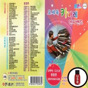 HR USB 노래칩 SD칩 USB노래칩 노래USB 전자밴드 USB노래 카바레 차량USB