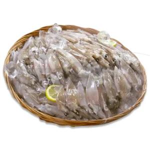 통째 먹는 총알한치 100 통찜용 총알 한입 통 호래기 오징어 한치 통찜 볶음 무침 튀김 구이 숙회 100마리