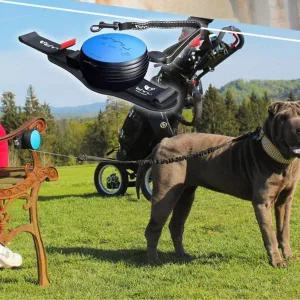 [골드스마일]강아지 핸즈프리 산책 자동줄 블루 1P 워킹줄 리드줄