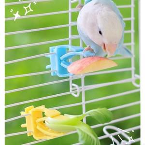 건강한 새 간식 안정적인 케이지 마운트 내구성을 갖춘 플라스틱 앵무새 과일 야채 클립 피더
