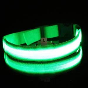 강아지 야간 산책 Led 목줄 외출용품 애견산책