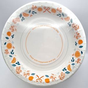 코스트코 무형광 종이 접시 (대) 지름 26cm 120개입