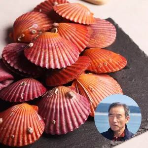 [맛딜]쫄깃쫄깃 오동통한 고성 홍가리비2kg(30-40미내외)