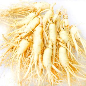 가정용 햇 수삼 세척인삼 난발삼 [大] 12-16편 700g