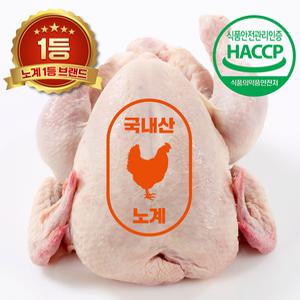 폐계닭 노계닭 특대 생닭 1마리(1.5kg내외) [계룡유통]