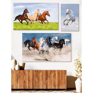 [더아트컴퍼니] 성공을 부르는 출세운 야생 말그림 20종 합격운 사업운 취업운 금전운 명예운 재물운 풍...