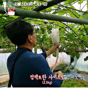 [모두싹판다]아사바 지베스타 지베레린 처리기 침지기 포도 샤인머스켓 수정 기계 분무기