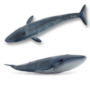 대왕고래장난감 흰수염고래피규어 바다생물 동물