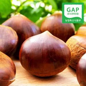 [GAP인증] 산지직송 충남 공주 정안 옥광밤 2kg(특)