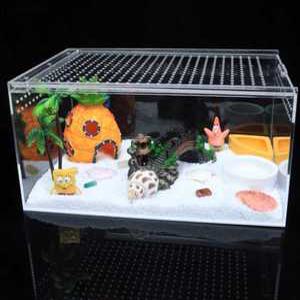 다드림 딸기소라게 집 거북이 세트 키우기 사육통 집