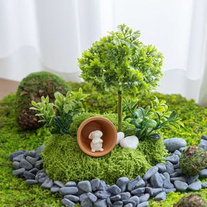 파슬리 조화 인조 조경 이끼 장식 미니 그린월드 18x22cm 행사 촬영 소품 연출 플랜테리어 꾸미기 모스