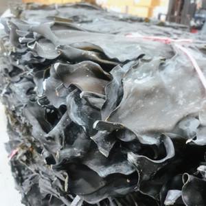 [해남미소] 땅끝어부 25년 햇 다시마 1kg