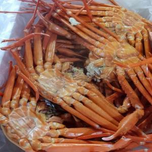 자숙 홍게 자숙홍게 붉은대게 5kg 실속형 게 해산물