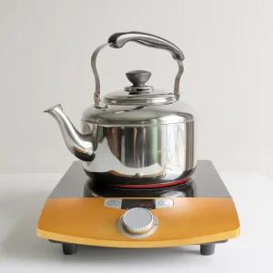 스텐주전자 작은 소형주전자 4L 인덕션호환/주전자/캠핑/미니/물주전자/직화/스텐/소형/티포트/캠핑용/대형