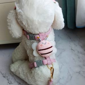 소형견하네스 H형 고양이 강아지 리드줄 하네스 꿀벌 가슴줄