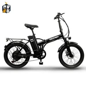 레이윙 디스커버리 엔트리 F20 E10 접이식 전기자전거