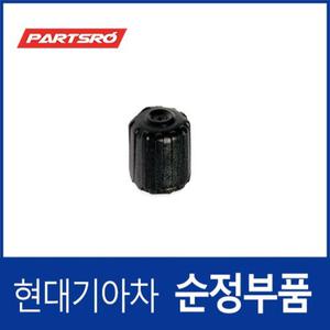 [현대모비스]순정 타이어 공기주입구 캡 밸브 (52937A5100) 현대모비스 부품몰