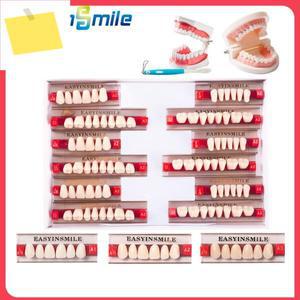 1612 세트박스 치과 치아 전방 후방 폴리머 틀니 아크릴 A2 A3 레이어 재료 교육 모델