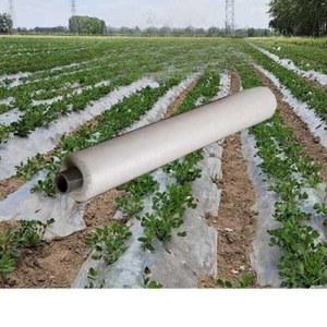 농업용비닐/투명 멀칭비닐 무공 피복재 온실 비닐 마늘 고추 폭 필름 모종 200m