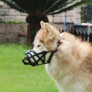 [콩심팥심]반려동물 소형견 중형견 대형견 입마개 사이즈 XL