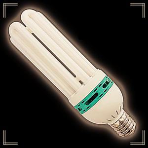 골드에그스토어 75W (EL75EX-D)E39 등 캠핑장 E 장수 램프 삼파장 형광 전구 주광 색