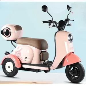 역삼륜오토바이 전기스쿠터 배달용 바이크 삼륜차