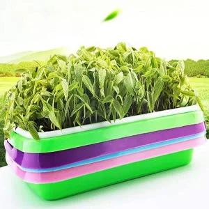 식물새싹키우기 촘촘 새싹 재배기 채소재배기 야채재배기