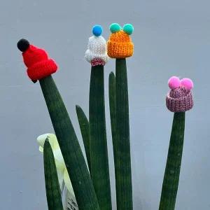 스투키모자 화분 장식 방울방울 5P 화분꾸미기