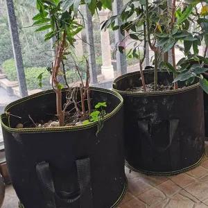 [골드스마일]대형 텃밭 화분 부직포 백 베란다 플랜터박스 세트