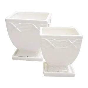 다육 화분 2501-2-3 (다육이 선인장 미니 도자기화분) (WFED7DB)